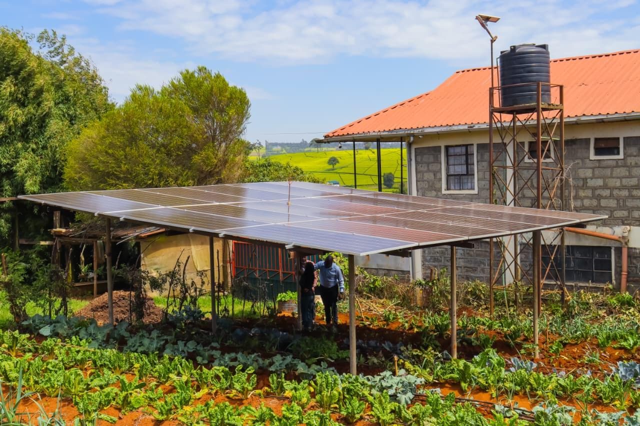 Ground-mount solar array over a homestead vegetable garden
